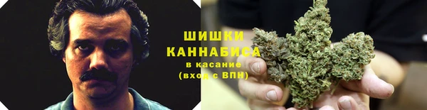 гидропоника Инсар