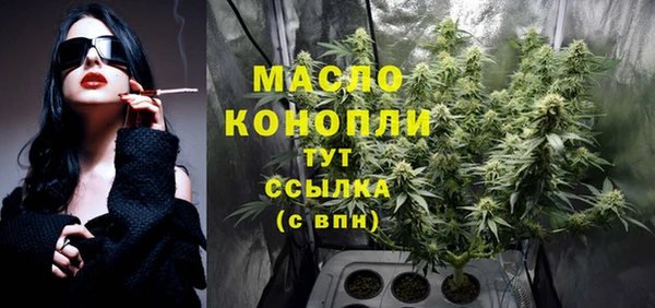 ешки Иннополис