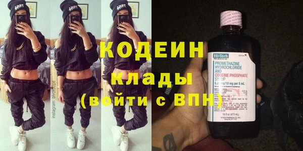 ешки Иннополис