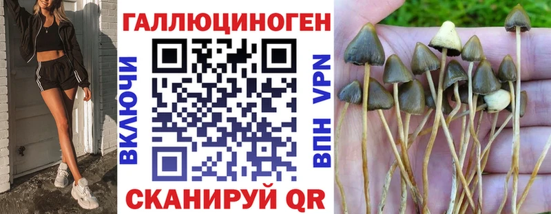 Галлюциногенные грибы ЛСД  Купить где  Мыски 